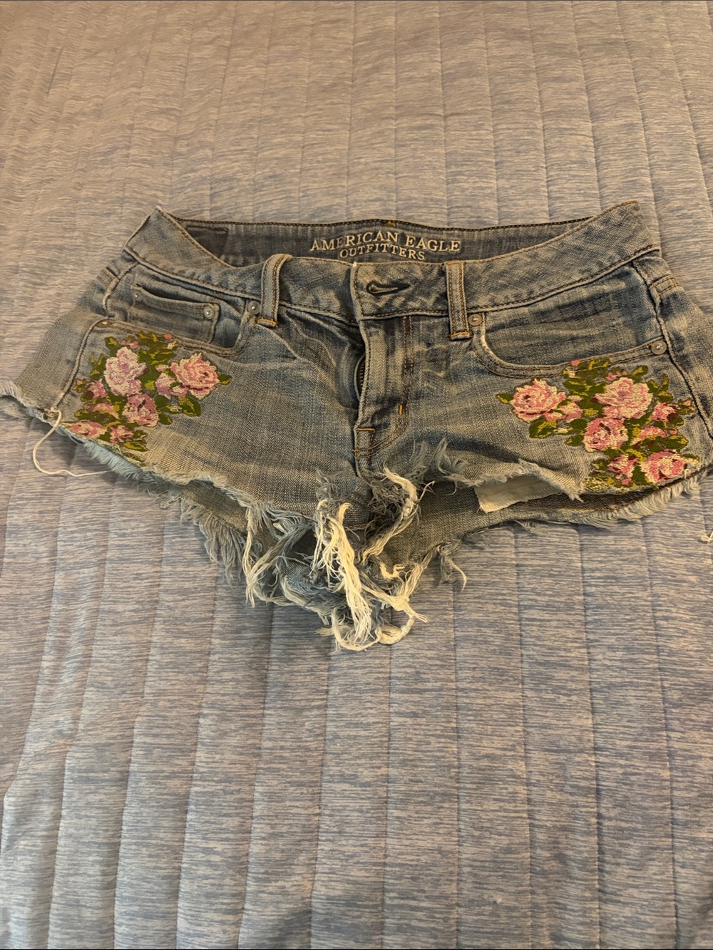 American Eagle Outfitters light blue denim shorts with pink floral embroidery